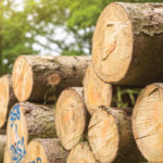WA Asset Management lumber prices image